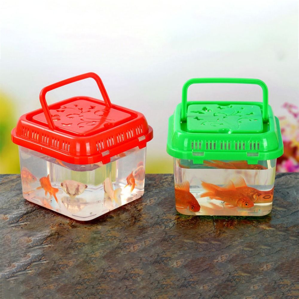 Pet Supplies Fish - Mini portátil plástico aquário, pet fornecimentos,