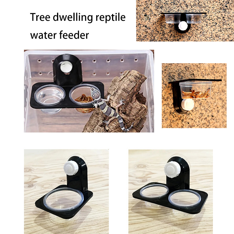 Pet Supplies Is Food - Acessórios para tanque de répteis, insetos,