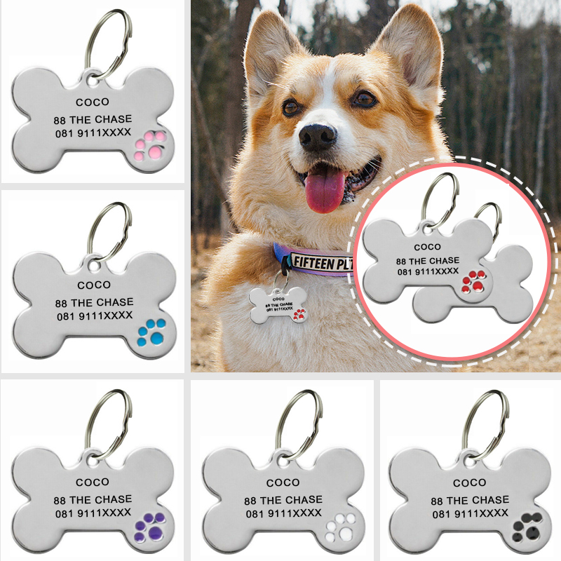 Pet Supplies Store - Gravura personalizada anti-perda identificação de etiqueta