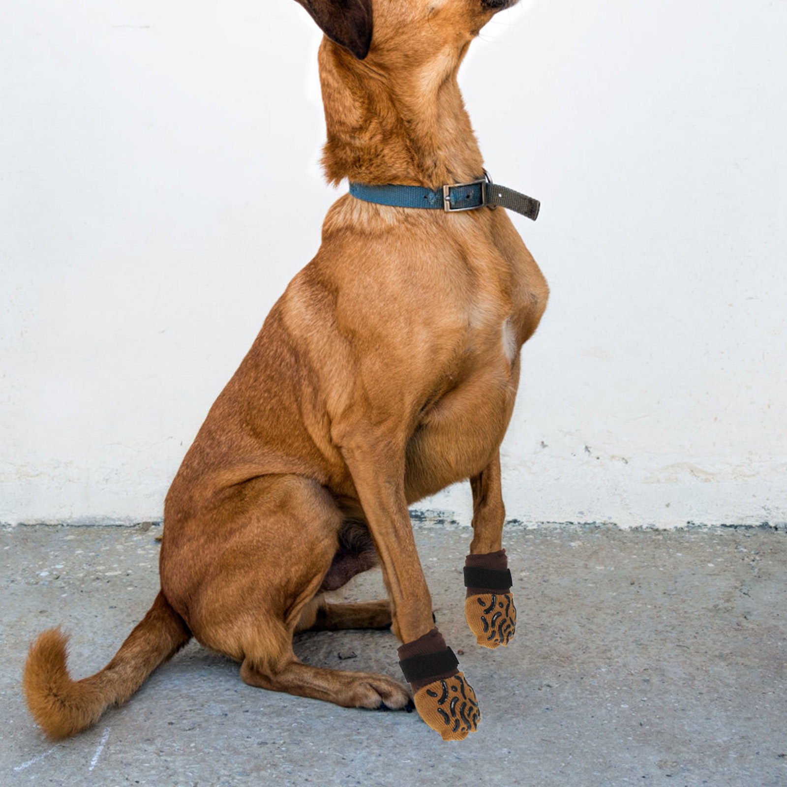 Dog Booties Paw Protector - 4 Pares de Meias Antiderrapantes para