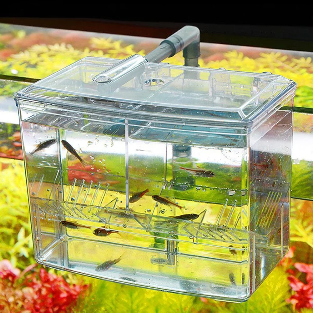 Caixa de criação de peixes de  - Pet Supplies Fish avaliação e preço
