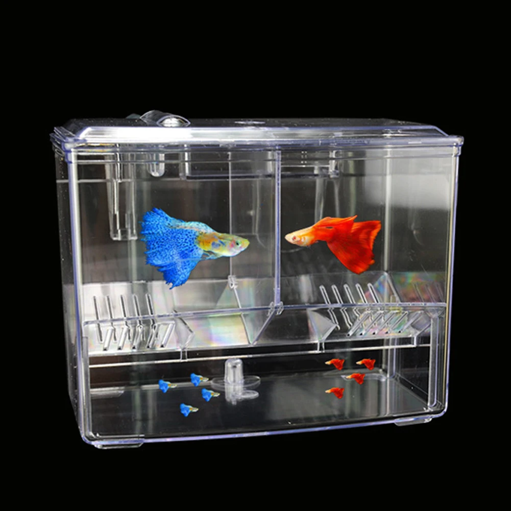 Caixa de criação de peixes de  - Pet Supplies Fish avaliação e preço