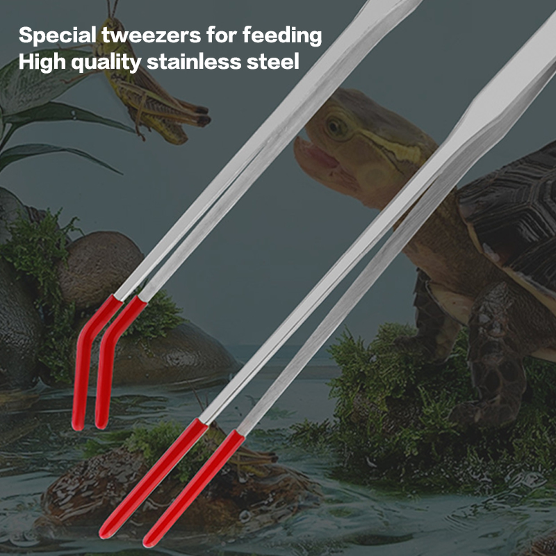 Ferramentas de Manutenção para - Pet Supplies Fish avaliação e preço
