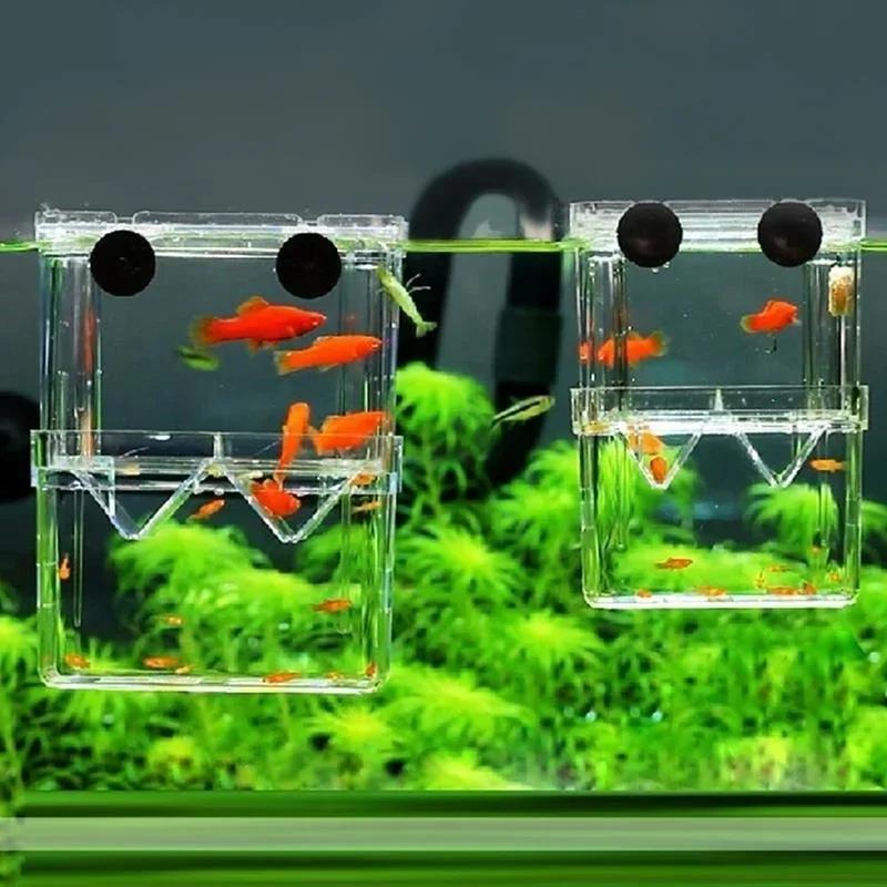 Aquário de peixes transparente - Pet Supplies Fish avaliação e preço