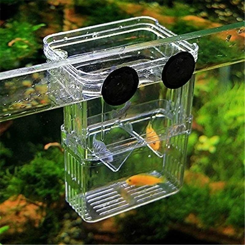 Aquário de peixes transparente - Pet Supplies Fish avaliação e preço