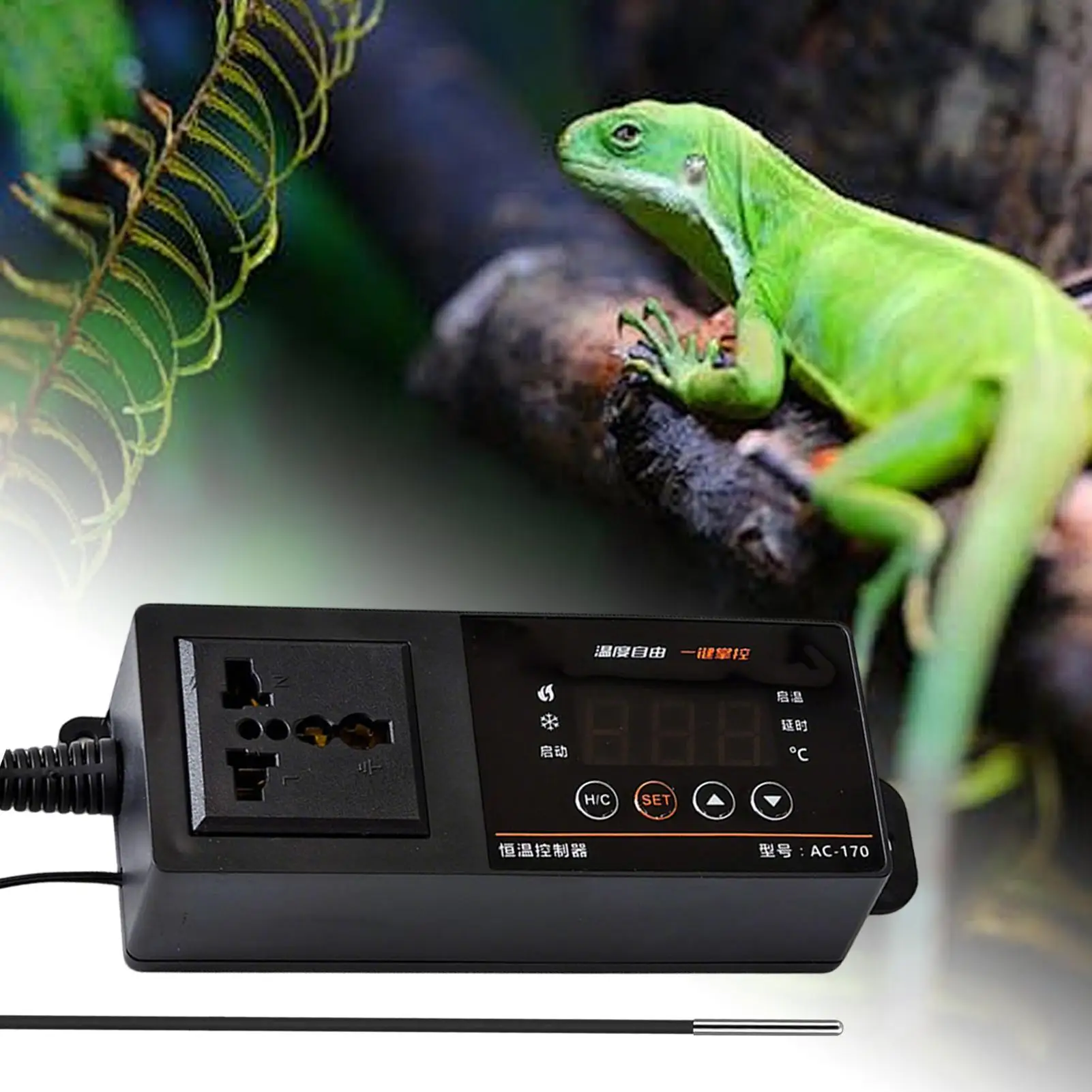 Termostato para tanque de répt - Pet Supplies Uk avaliação e preço