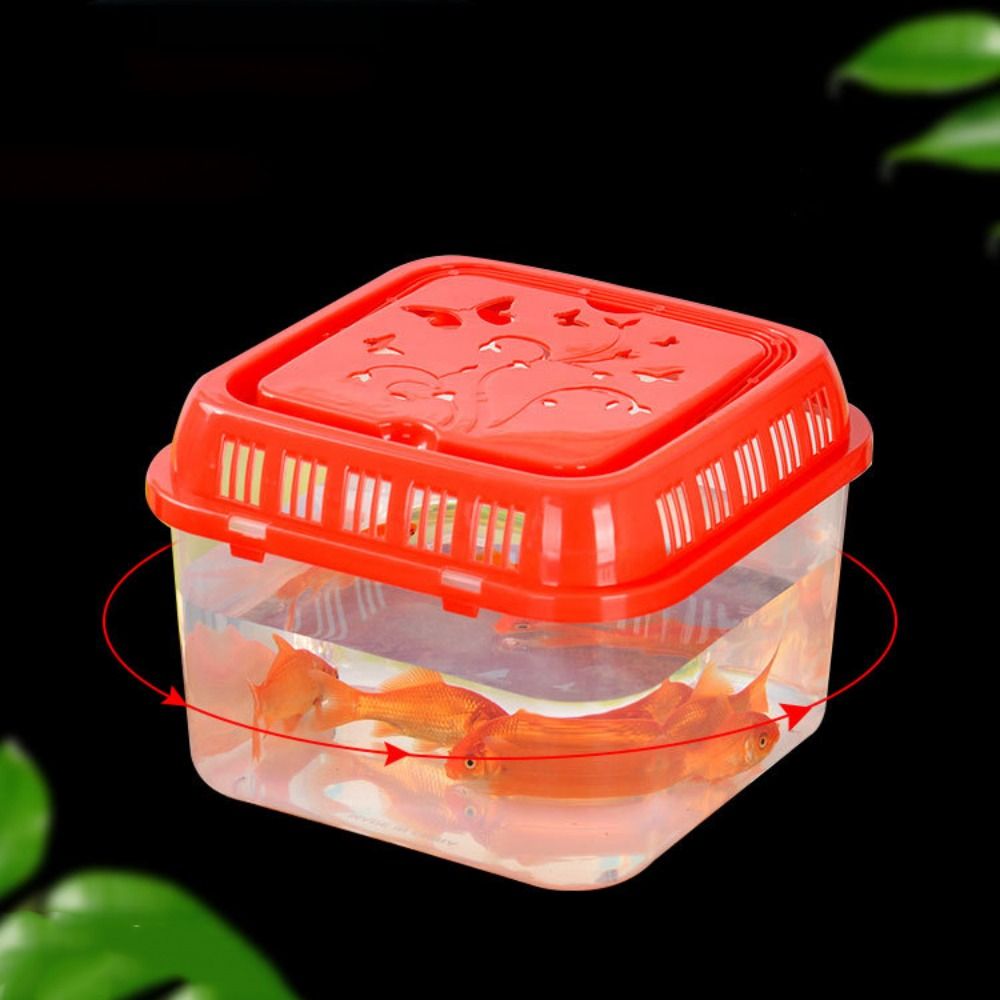 Mini portátil plástico aquário - Pet Supplies Fish avaliação e preço