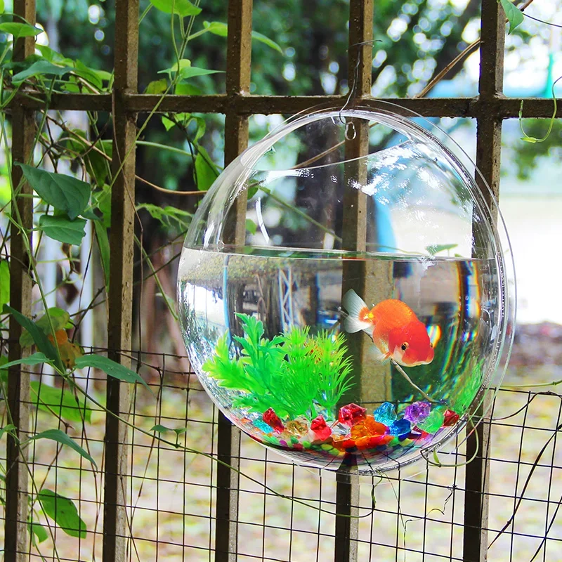 Pinsjar acrílico tigela de pei - Pet Supplies Fish avaliação e preço