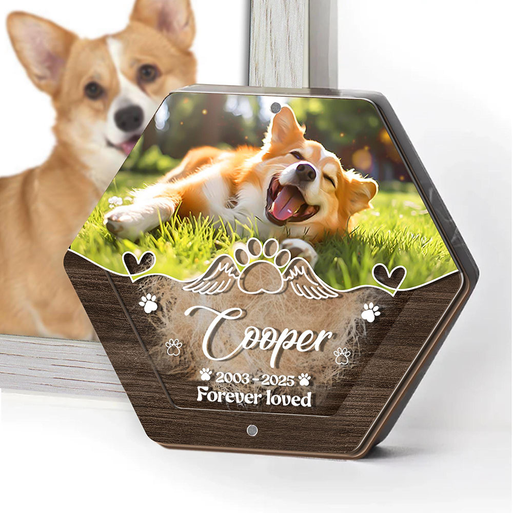 Nome personalizado escultura e - Pet Supplies Store avaliação e preço