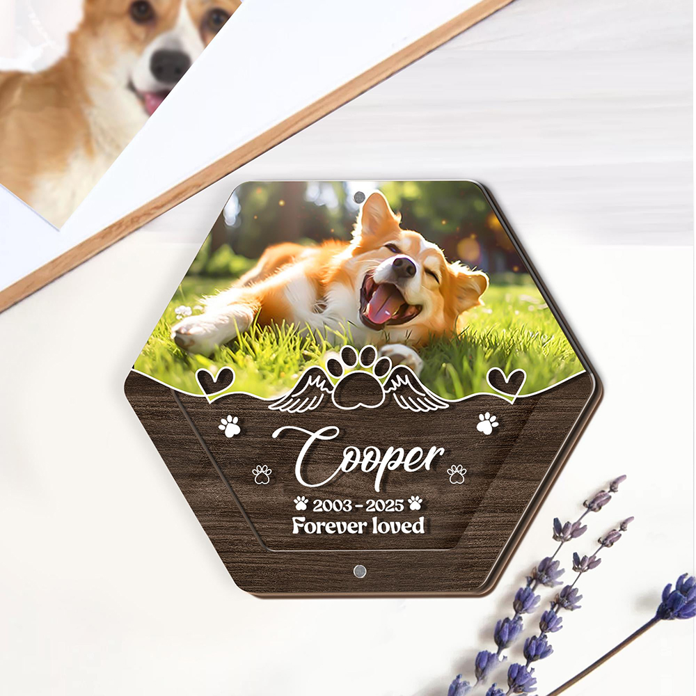 Nome personalizado escultura e - Pet Supplies Store avaliação e preço