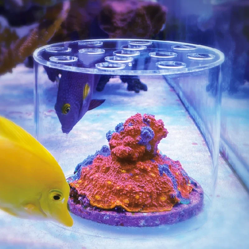 Vastocean aquário acrílico cor - Pet Supplies Fish avaliação e preço