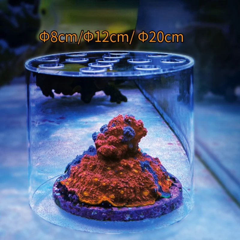 Vastocean aquário acrílico cor - Pet Supplies Fish avaliação e preço