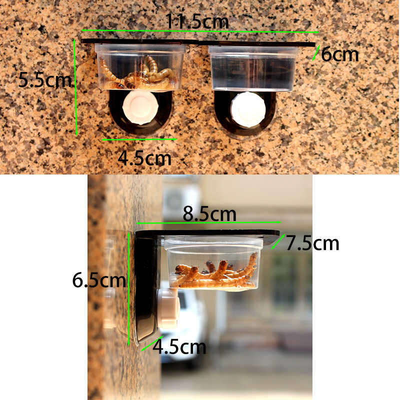 Acessórios para tanque de répt - Pet Supplies Is Food avaliação e preço