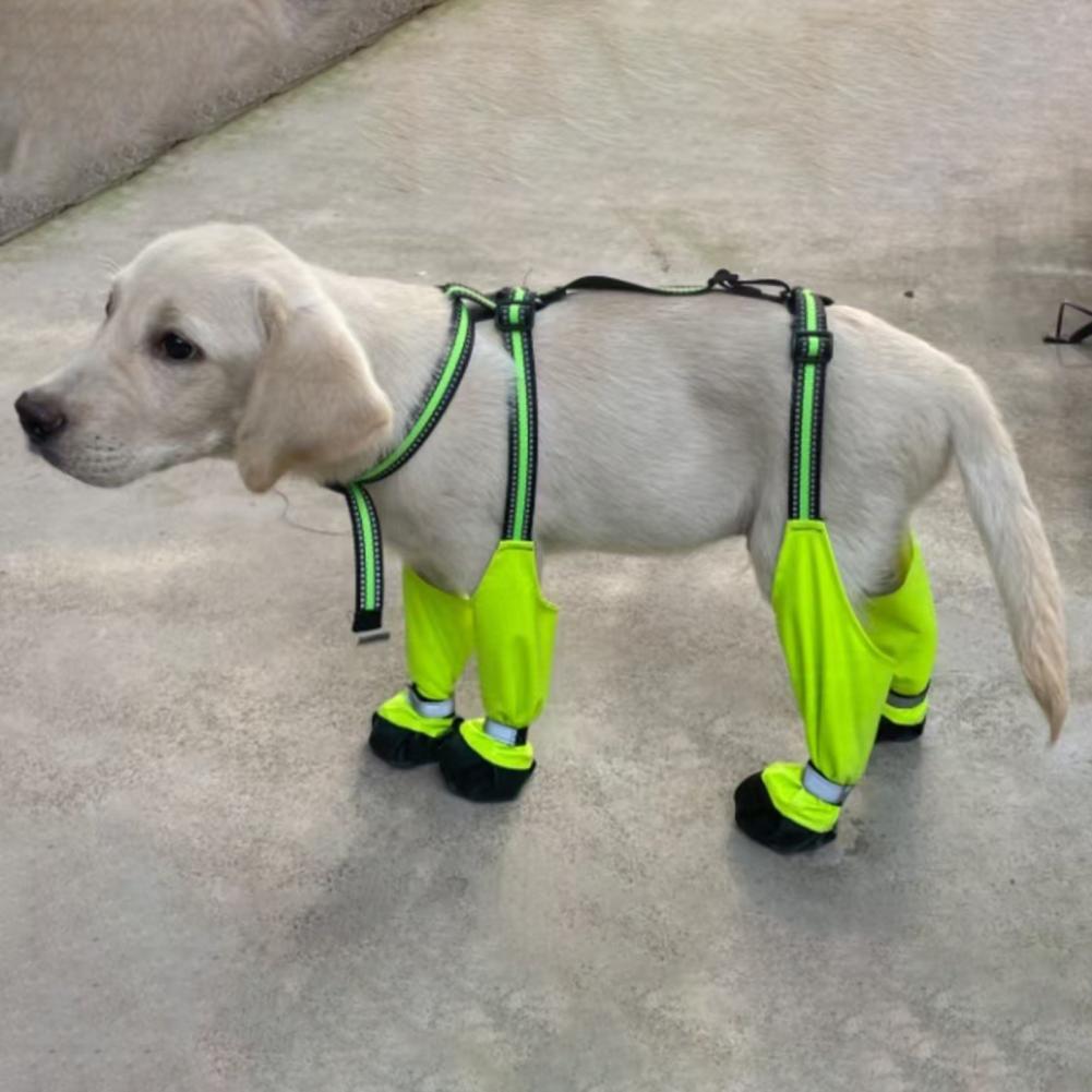 Botas Protetoras Antiderrapant - Dog Booties Paw Protector avaliação e preço