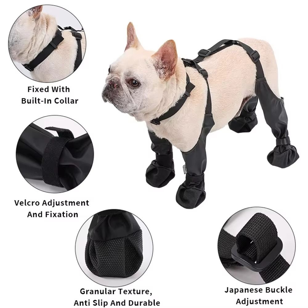 Sapatos para cães anti-queda,  - Dog Booties Paw Protector avaliação e preço