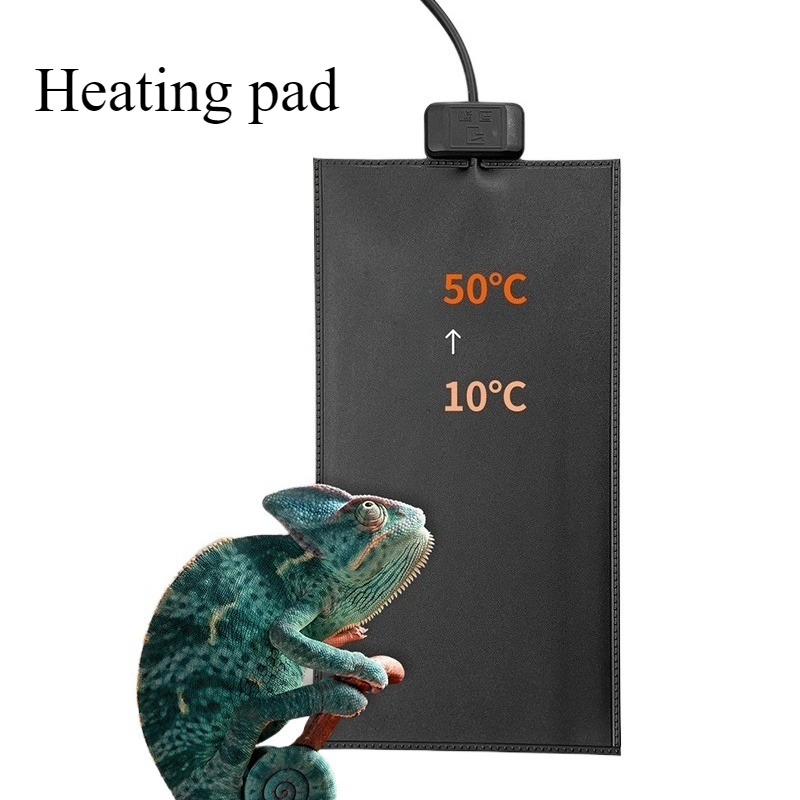 Inverno tartaruga tanque de pe - Pet Supplies Uk avaliação e preço