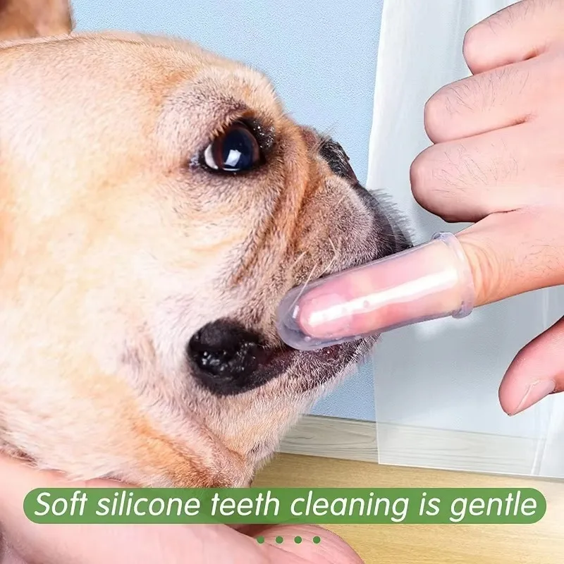 Escova de Dentes Super Macia p - Pet Supplies Is Food avaliação e preço