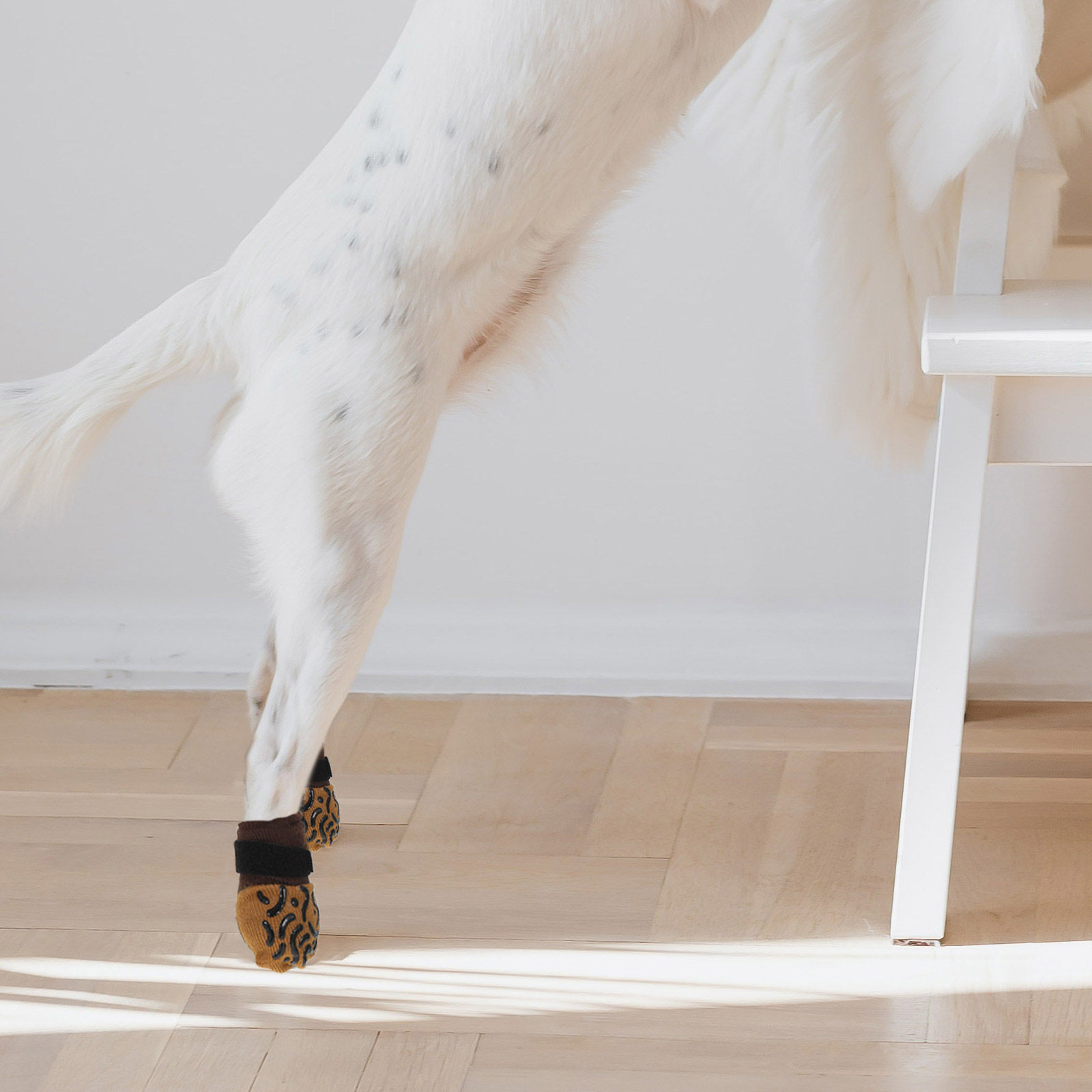 4 Pares de Meias Antiderrapant - Dog Booties Paw Protector avaliação e preço